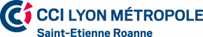 CCI LYON MÉTROPOLE SAINT-ÉTIENNE ROANNE