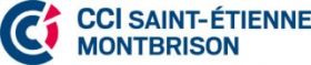 CCI SAINT ETIENNE/MONTBRISON