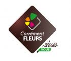 CARRÉMENT FLEURS