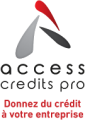 ACCESS CREDITS PRO